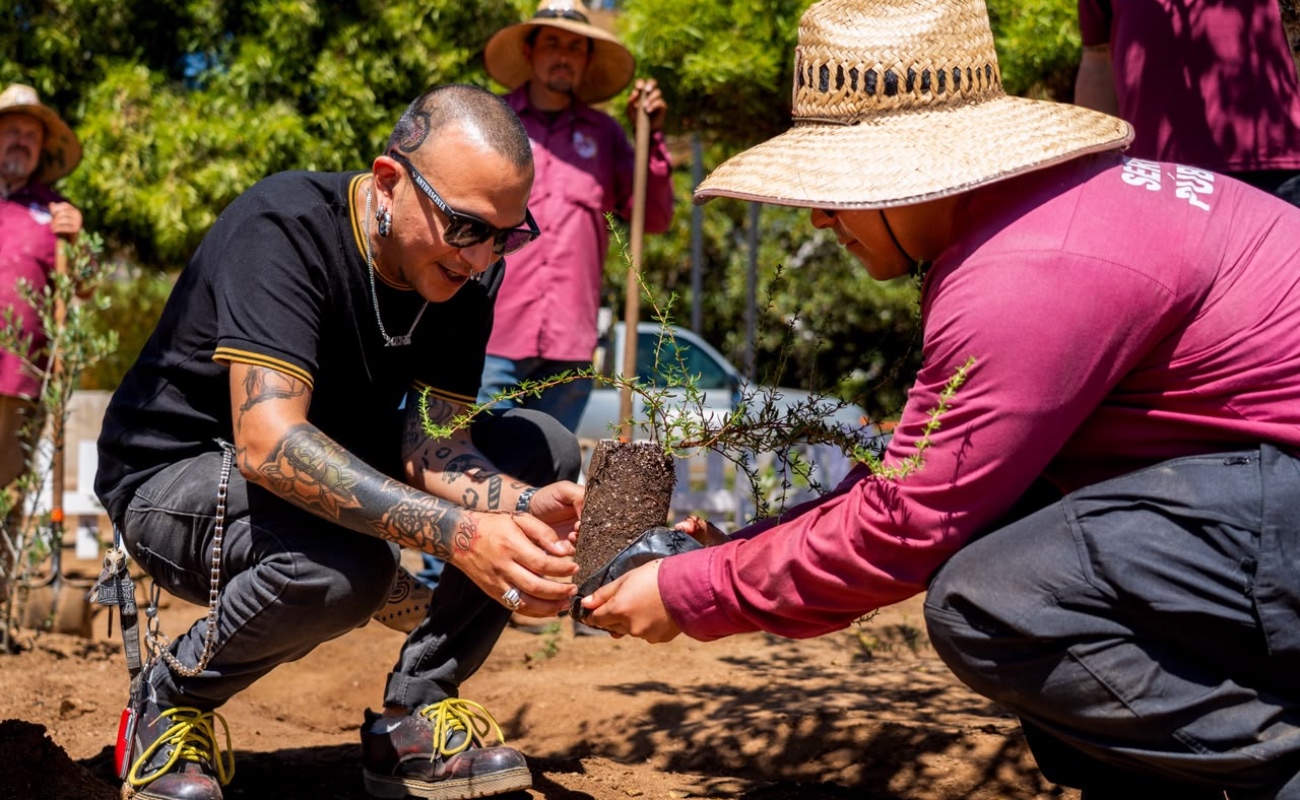 Fortalece Gobierno de Ensenada, infraestructura verde, con 40 nuevas plantas en el Parque Revolución.