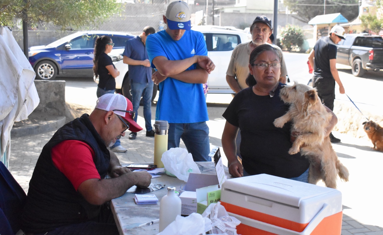 Realizan Jornada por el Cuidado de los Animales en la Popular 89