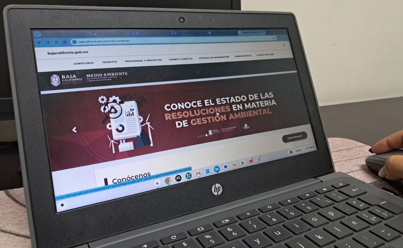 Trámites ambientales en línea: conoce el estatus de tu resolución en materia de gestión ambiental