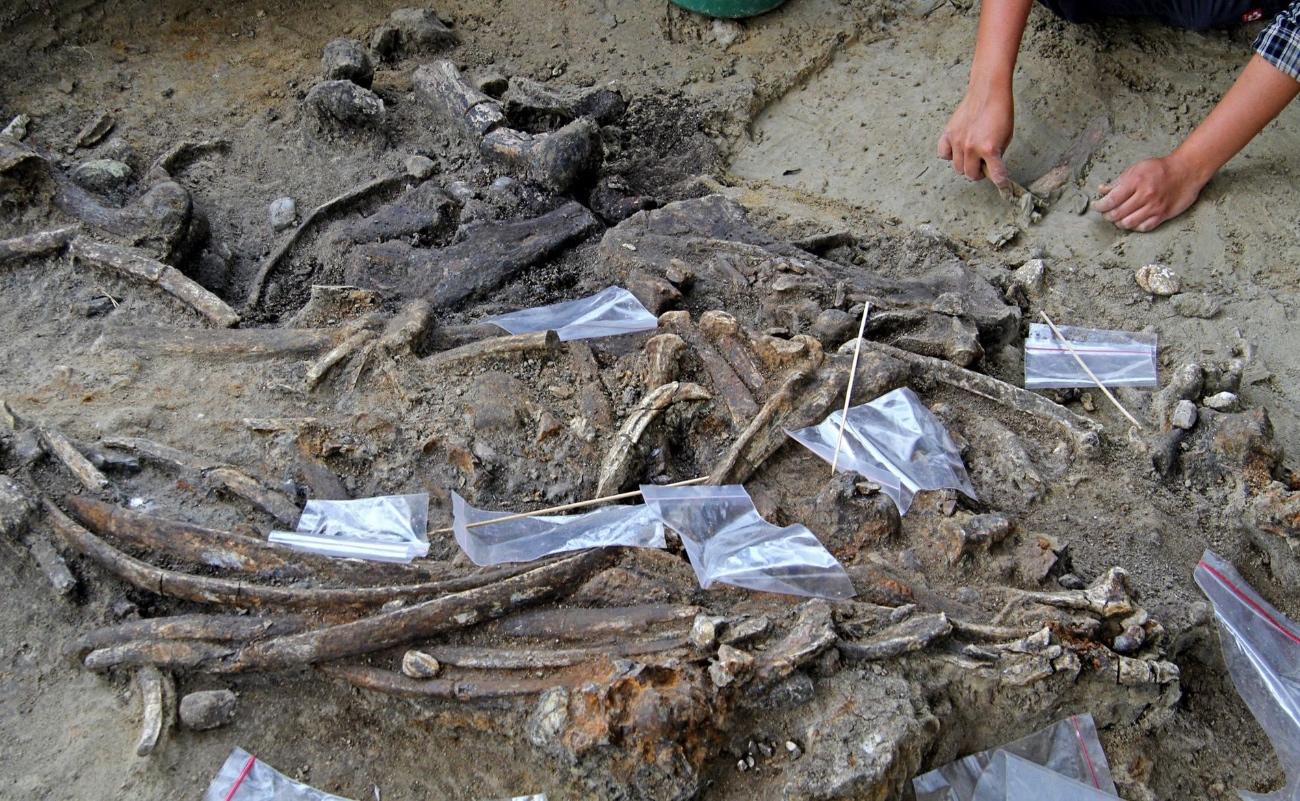 Las herramientas de piedra halladas en Ledi-Geraru, Etiopía, adelantan en más de 250 mil años el inicio de la tecnología humana, según los investigadores.