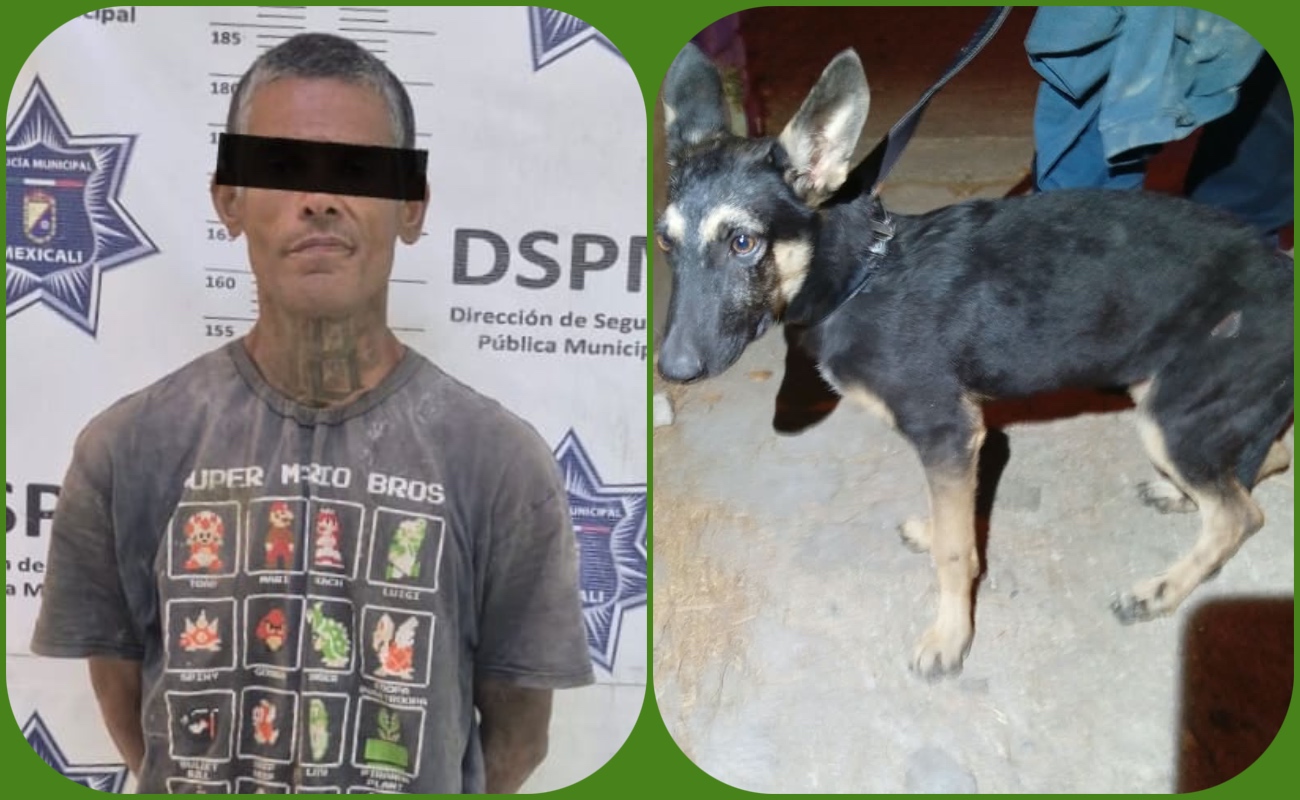 Detienen a sujeto señalado de maltrato animal