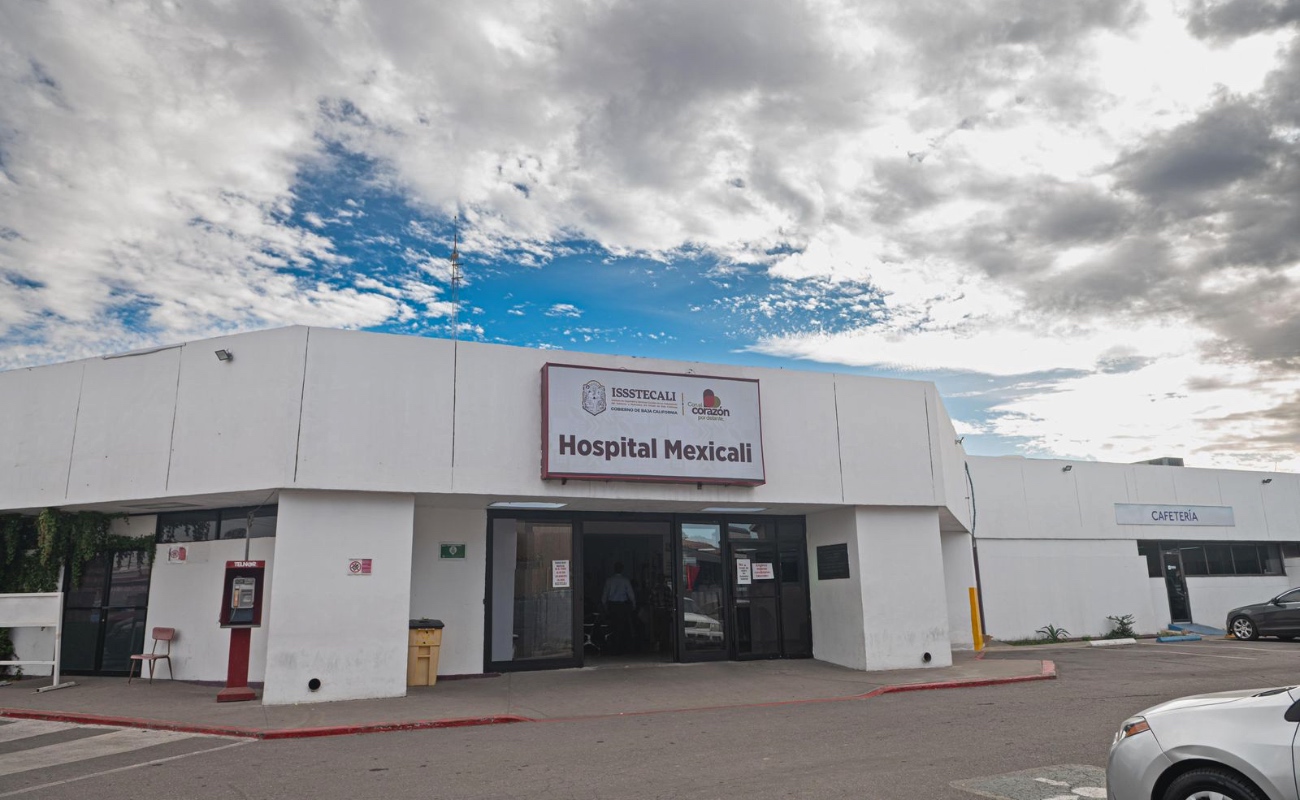 Promueve Nación Verde el trasplante responsable de árboles en Tijuana