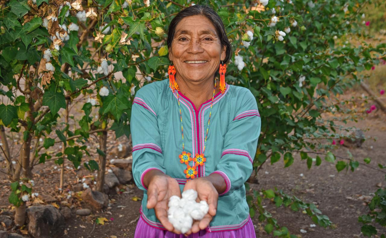 Reciben la Pensión Mujeres Bienestar tres millones: Ariadna Montiel