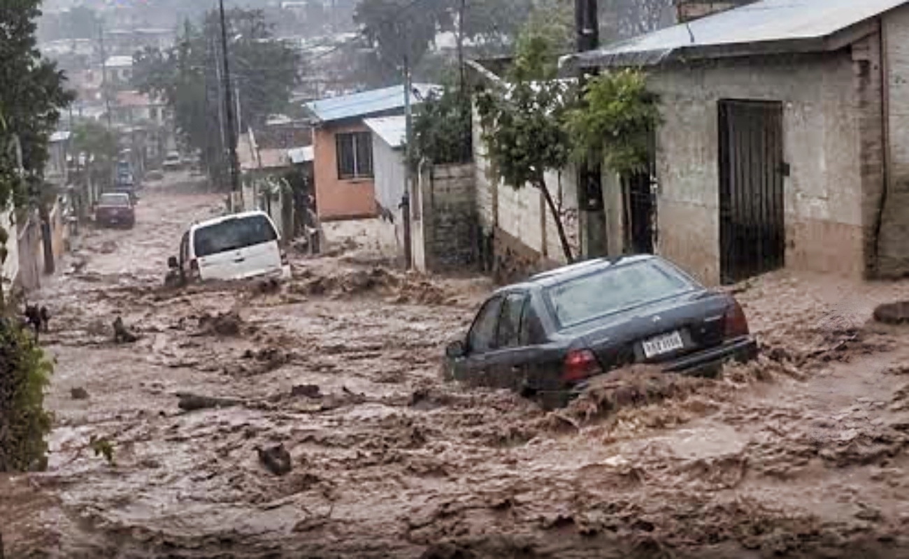 Debe prevenirse que “El Niño” tenga consecuencias fatales en BC: CIGA