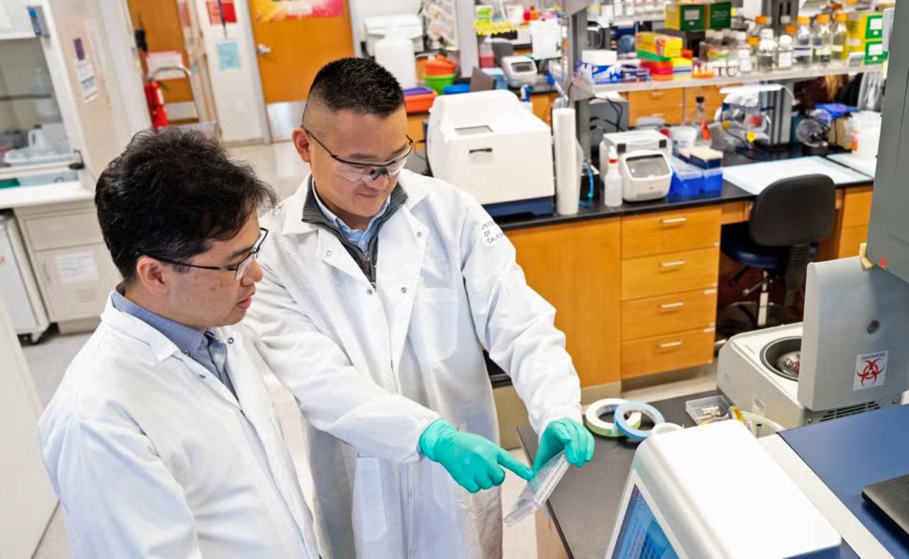 Científicos logran un avance clave hacia tratamientos más eficaces contra el cáncer de páncreas