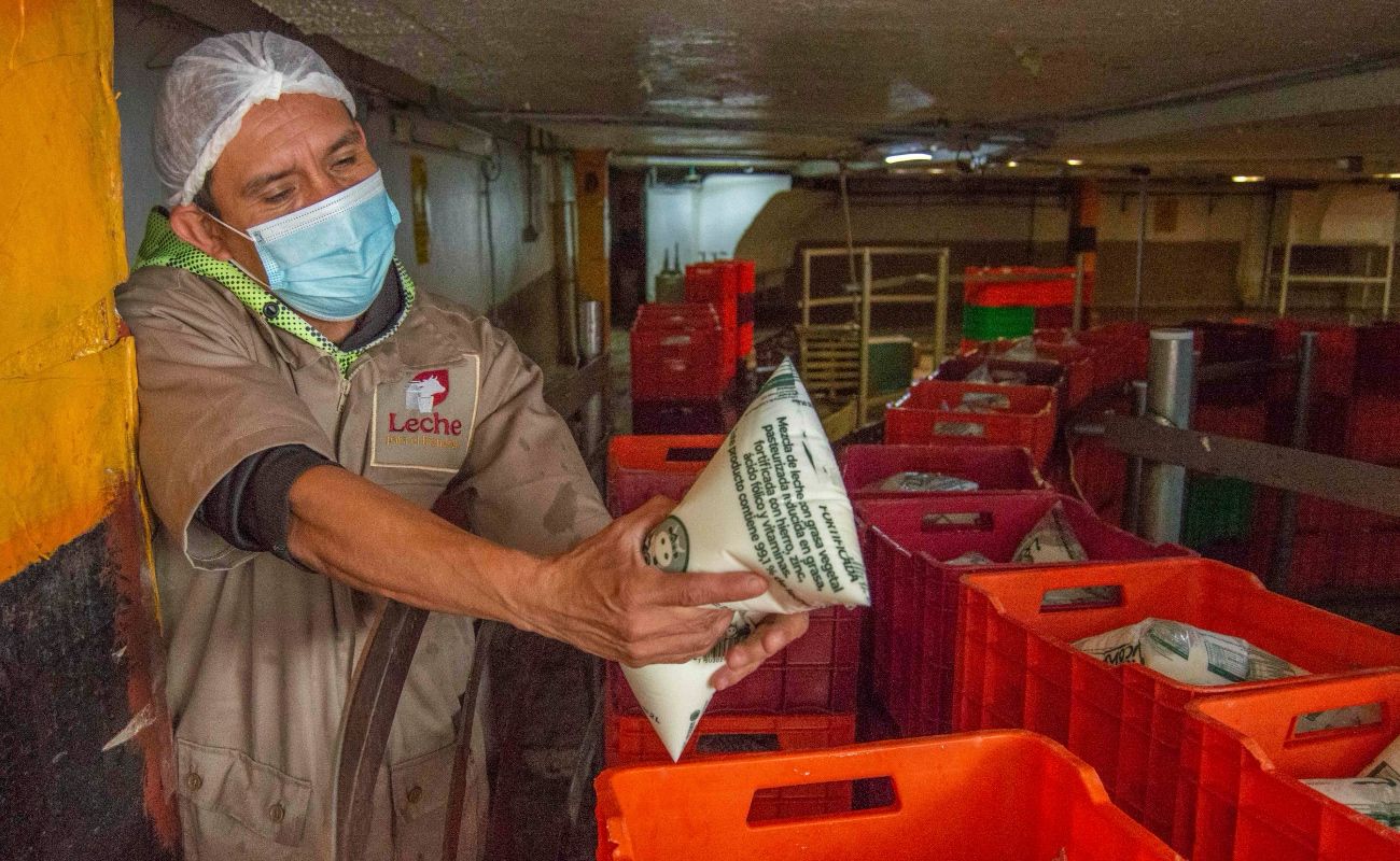 La operación de los Centros de Acopio garantiza la continuidad en el suministro de leche, alimento esencial para millones de personas en México.