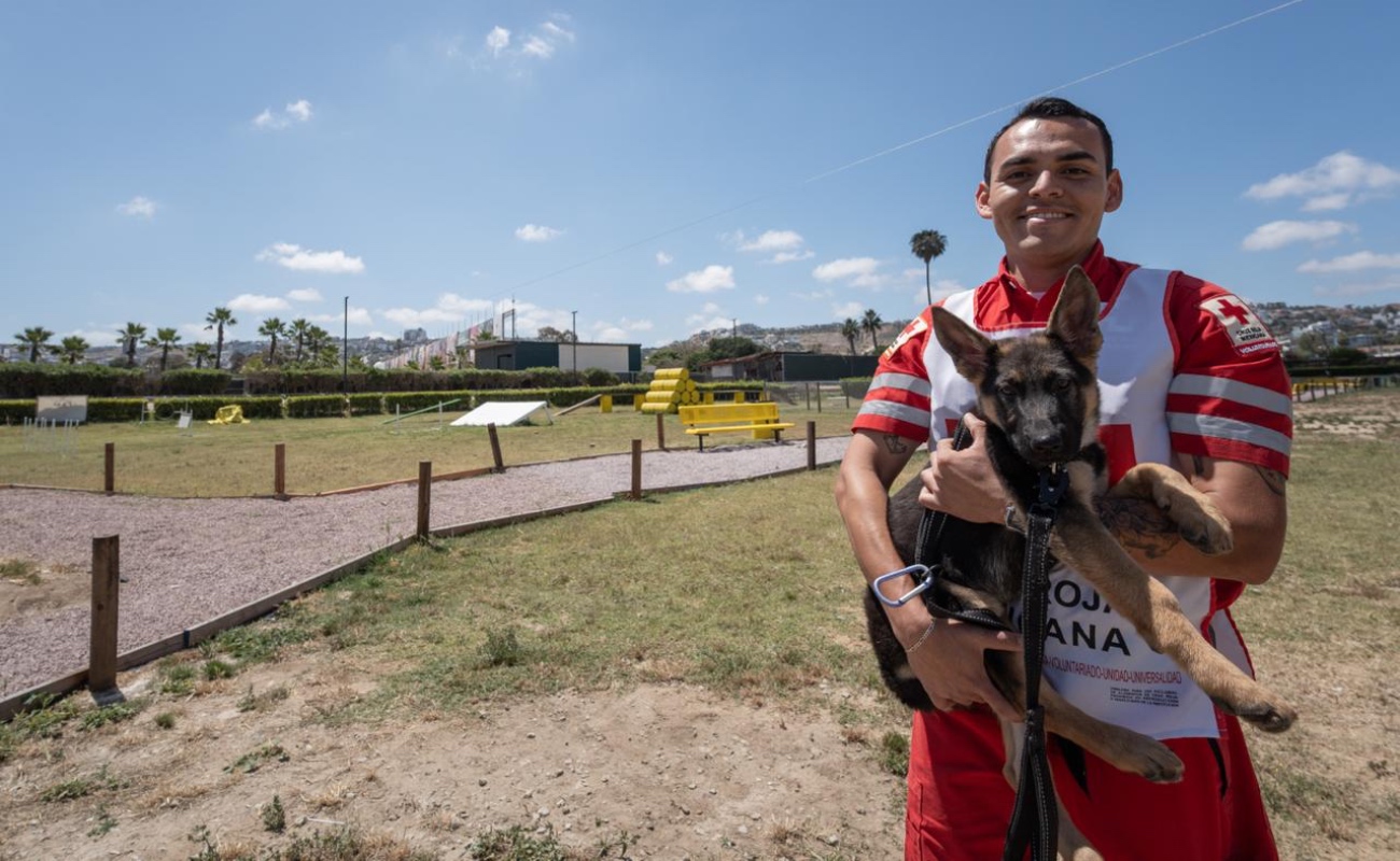 Feria Mundial Canina ACW llegará por primera vez a México en 2027