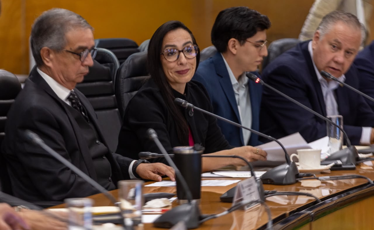 Ante la Comisión de Hacienda de la Cámara de Diputados.