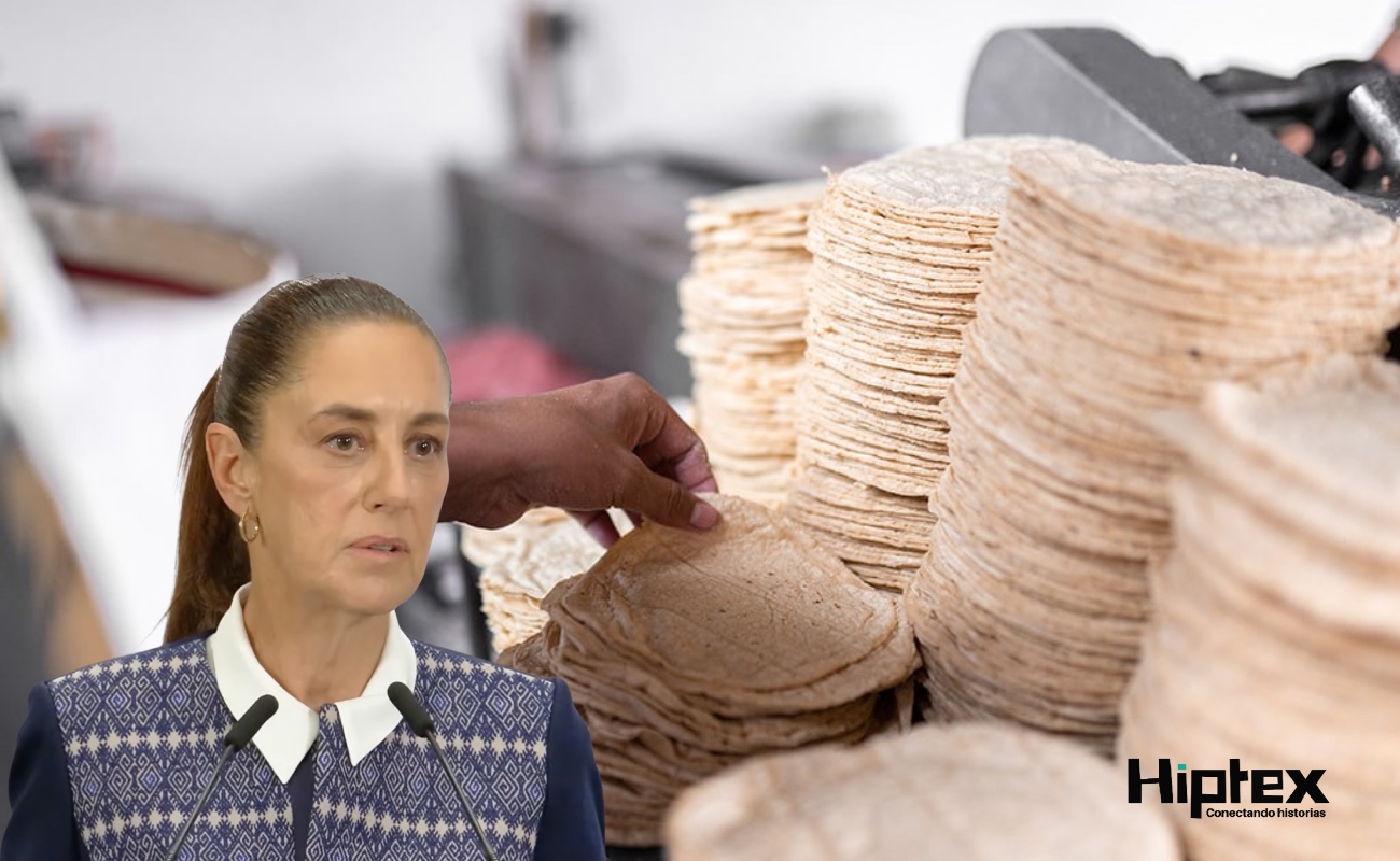 “No hay razón para que suba kilo de tortilla”; Claudia Sheinbaum