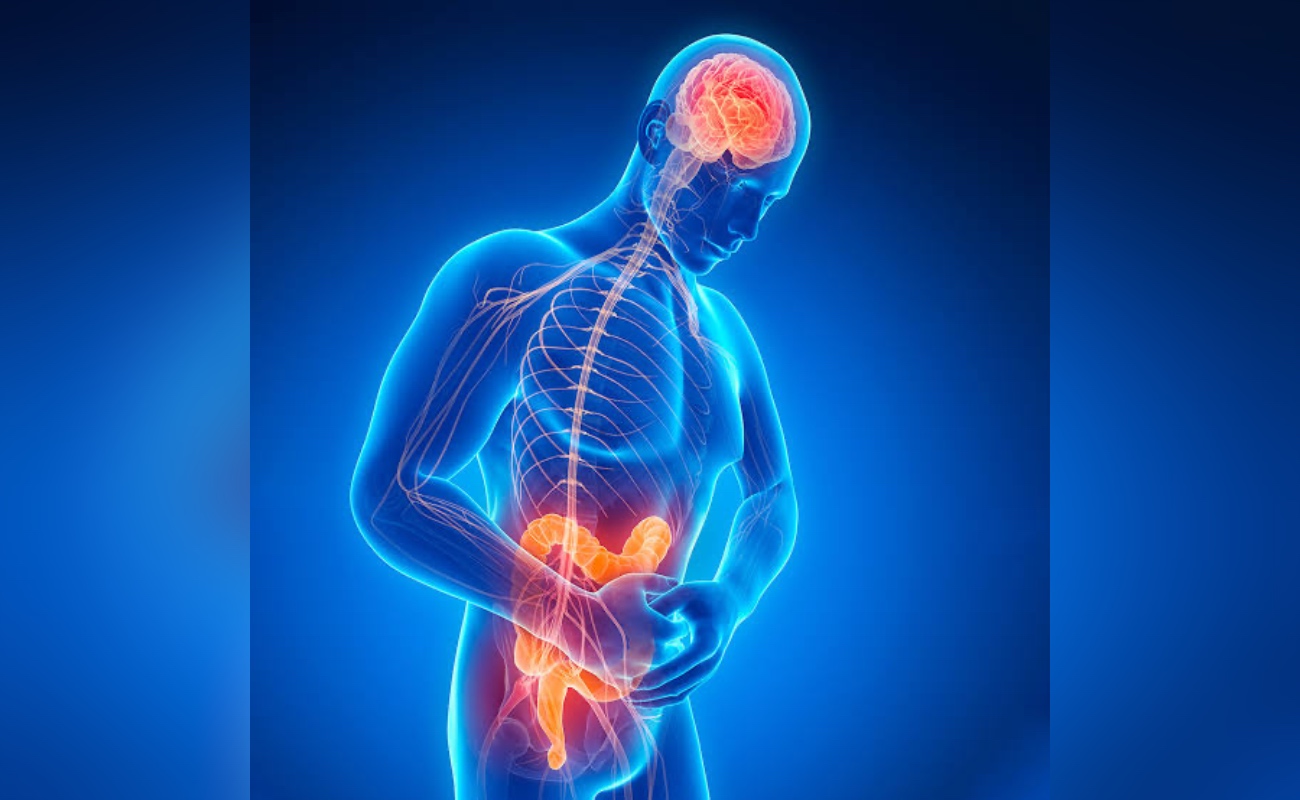 Evidencia médica que nos indica que el Parkinson tiene síntomas digestivos años antes de los síntomas motores típicos del Parkinson.