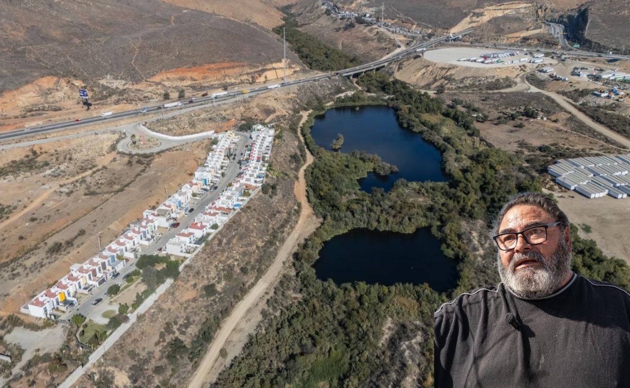 Aún sobreviven especies vegetales nativas como el carrizo que ayuda a retener agua, hierbas medicinales como el árnica y plantas del manto.