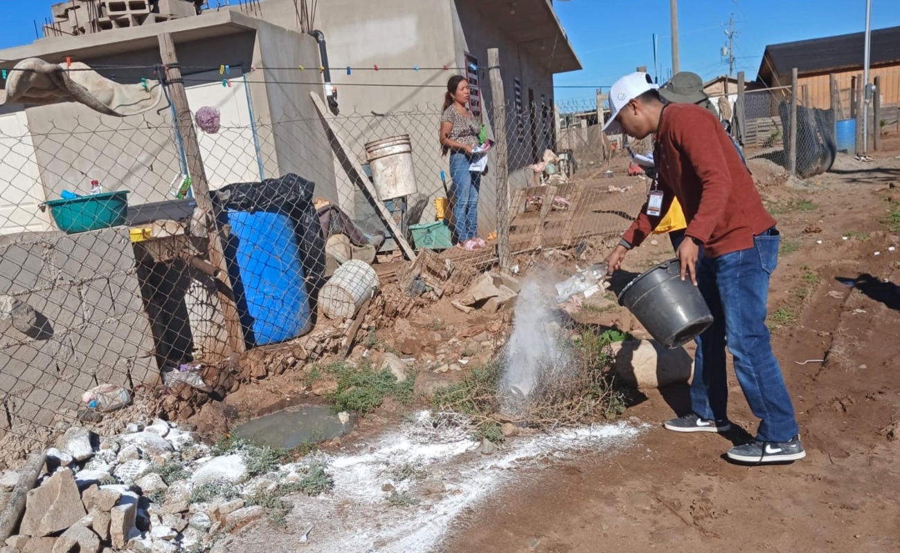 Refuerza COEPRIS BC acciones de saneamiento básico en Camalú tras las lluvias