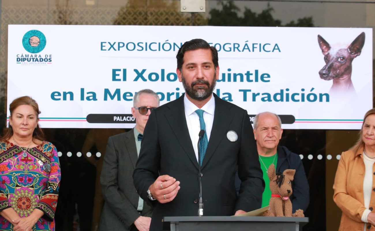 Celebran diputados Día Nacional del Xoloitzcuintle