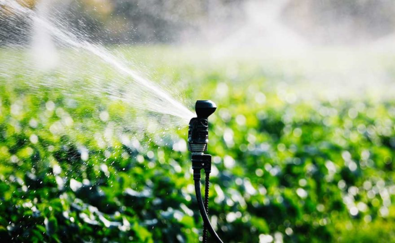 Reforma a ley del agua pone en riesgo inversiones productivas: Marcos Carlón