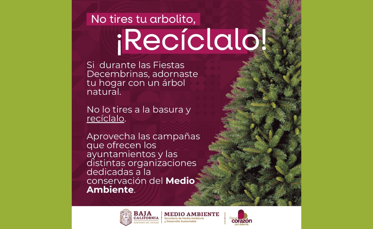 Invitan a sumarse a las campañas de reciclaje de árboles navideños