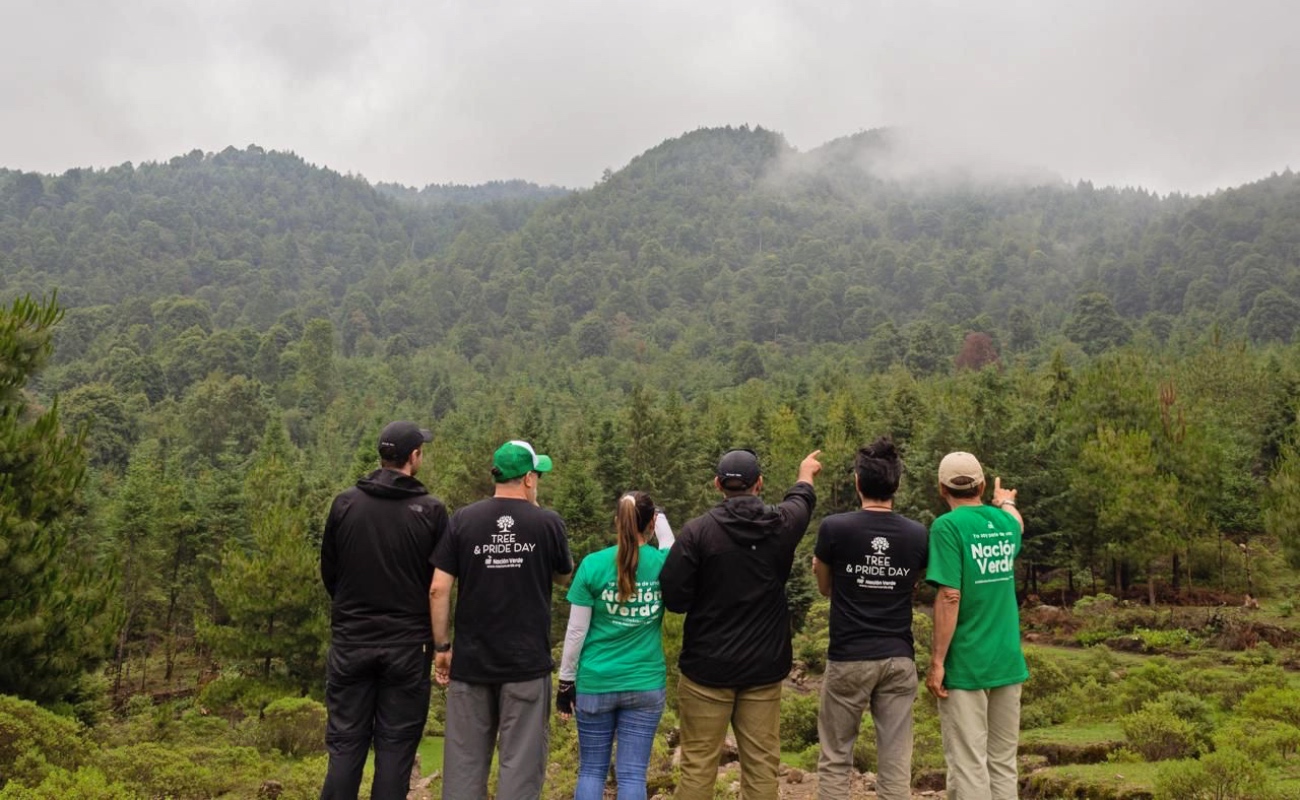 Se integra Nación Verde al Consejo Nacional Forestal para generar políticas medioambientales