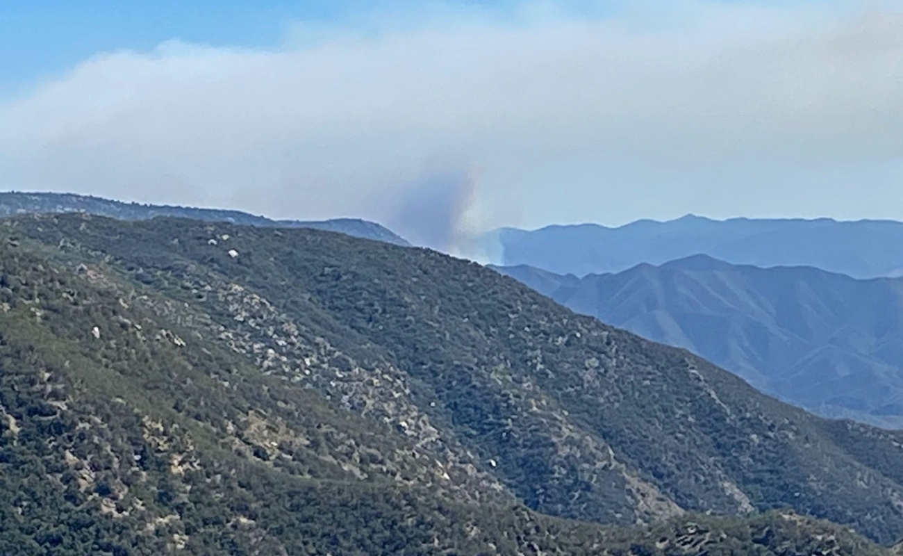 Afecta incendio 300 hectáreas de área natural protegida en San Pedro Mártir