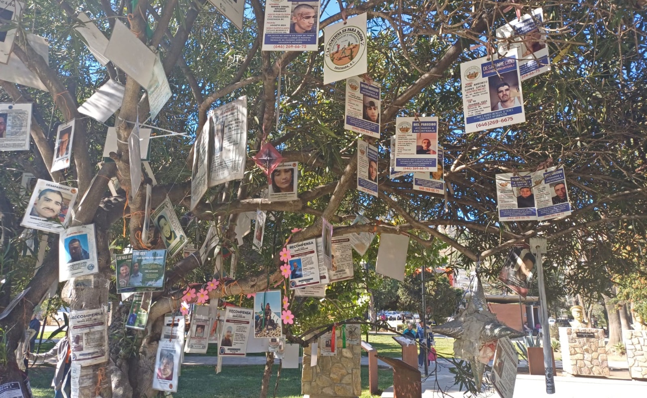 En desapariciones ha sido “tremendo” este 2025: colectivos