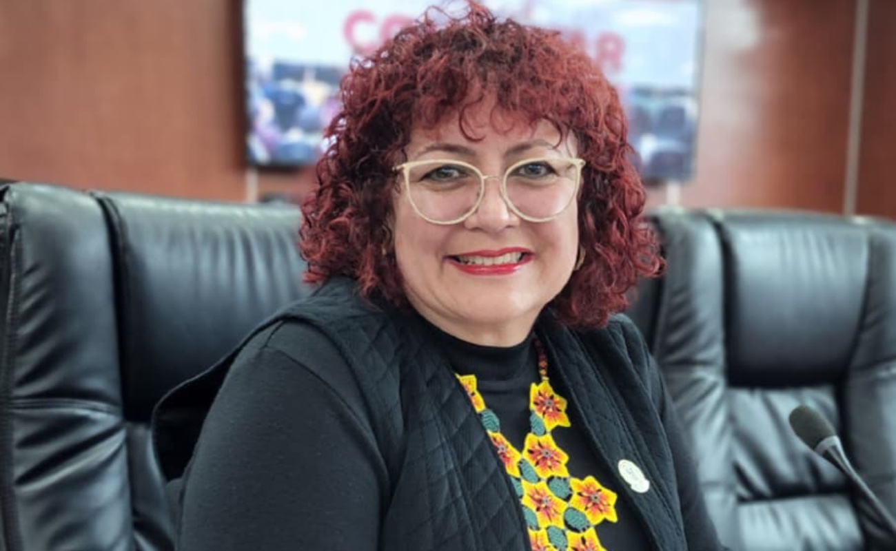 Necesario garantizar contacto diario a mujeres bajo medidas de protección: diputada Maythé Méndez