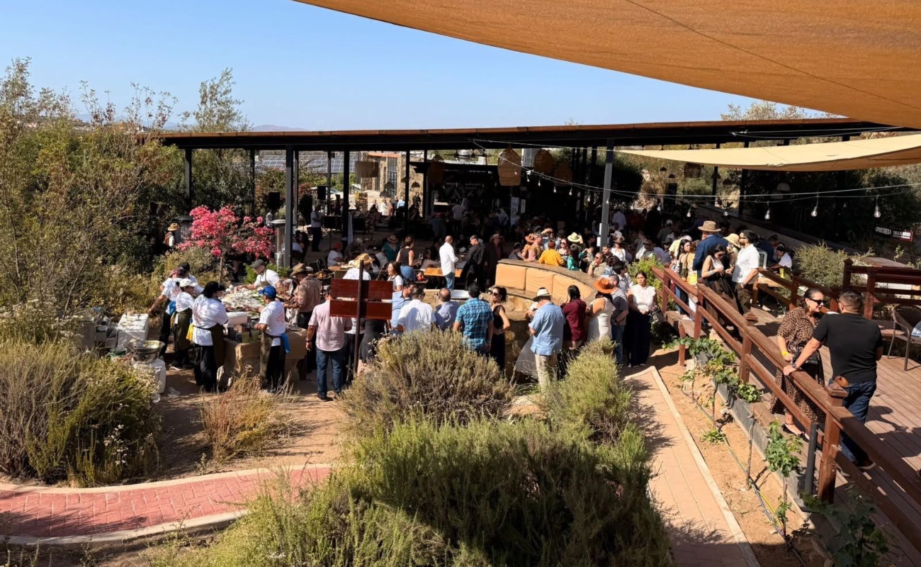 Reactivan concierto y festivales el Valle de Guadalupe: Humberto Valdés Romero