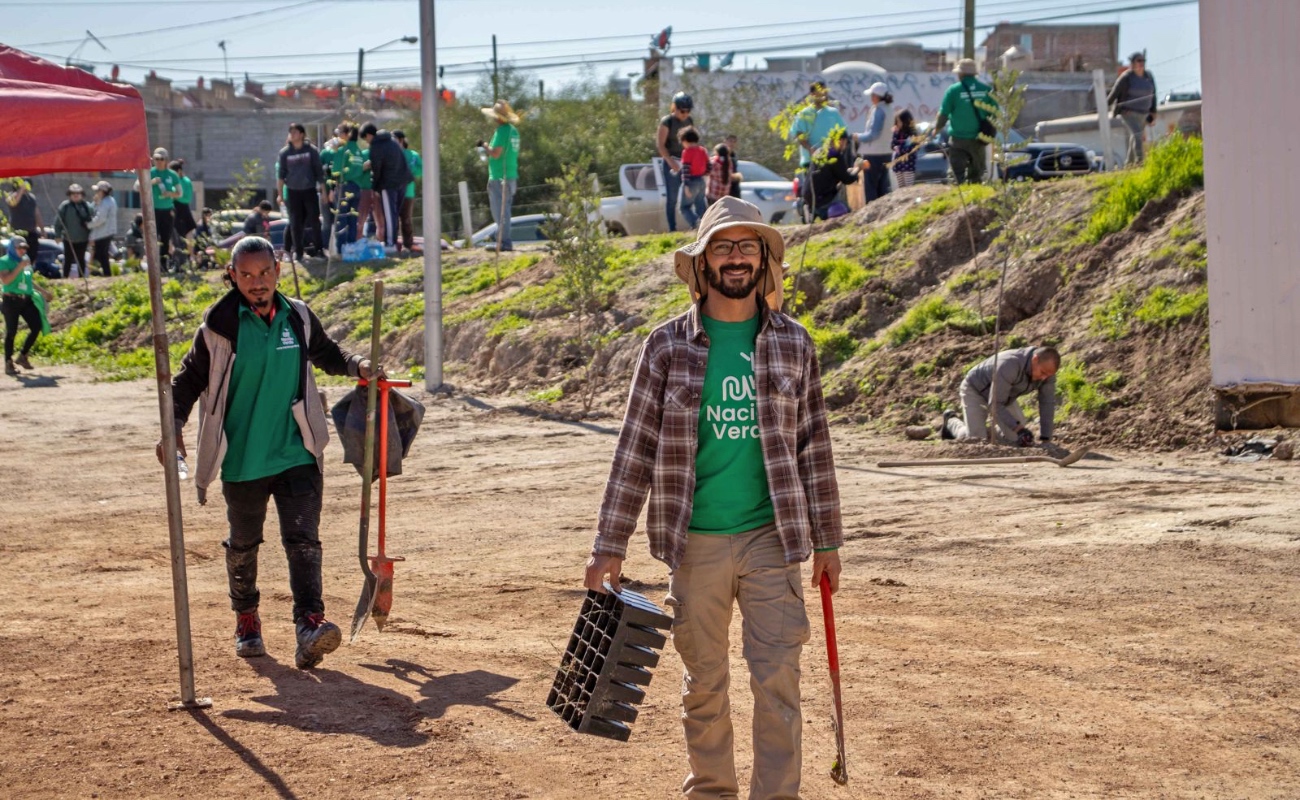 Convierte Nación Verde la compensación ambiental en oportunidad estratégica para las empresas