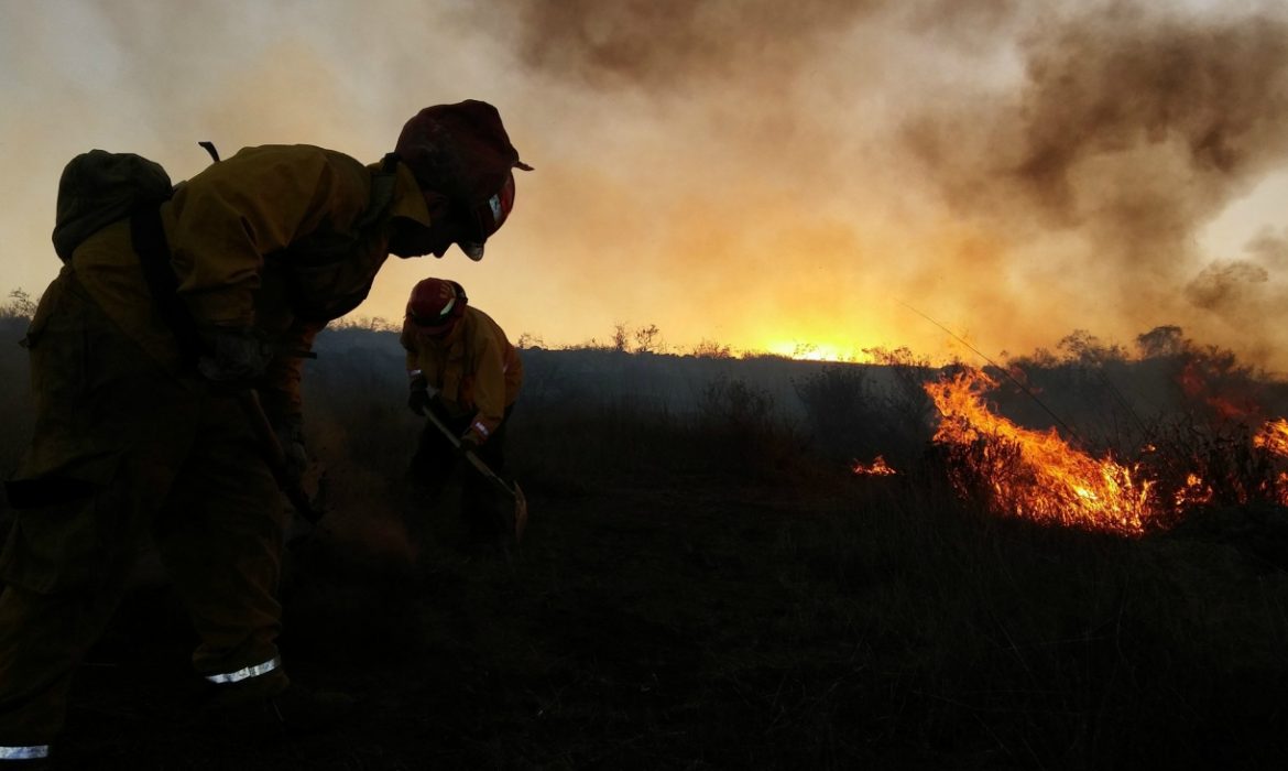 Está fuera de control incendio en Sierra de Juárez
