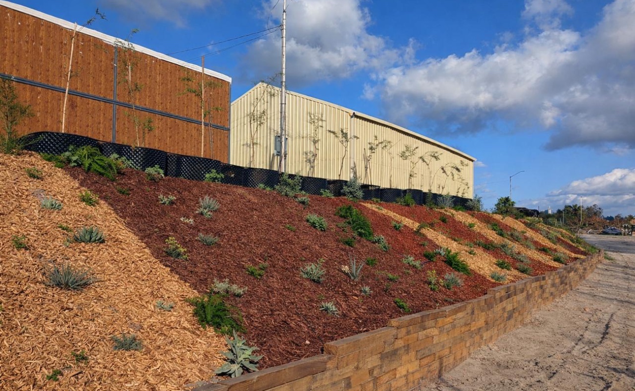 Plantea REDD rediseñar Tijuana con infraestructura verde