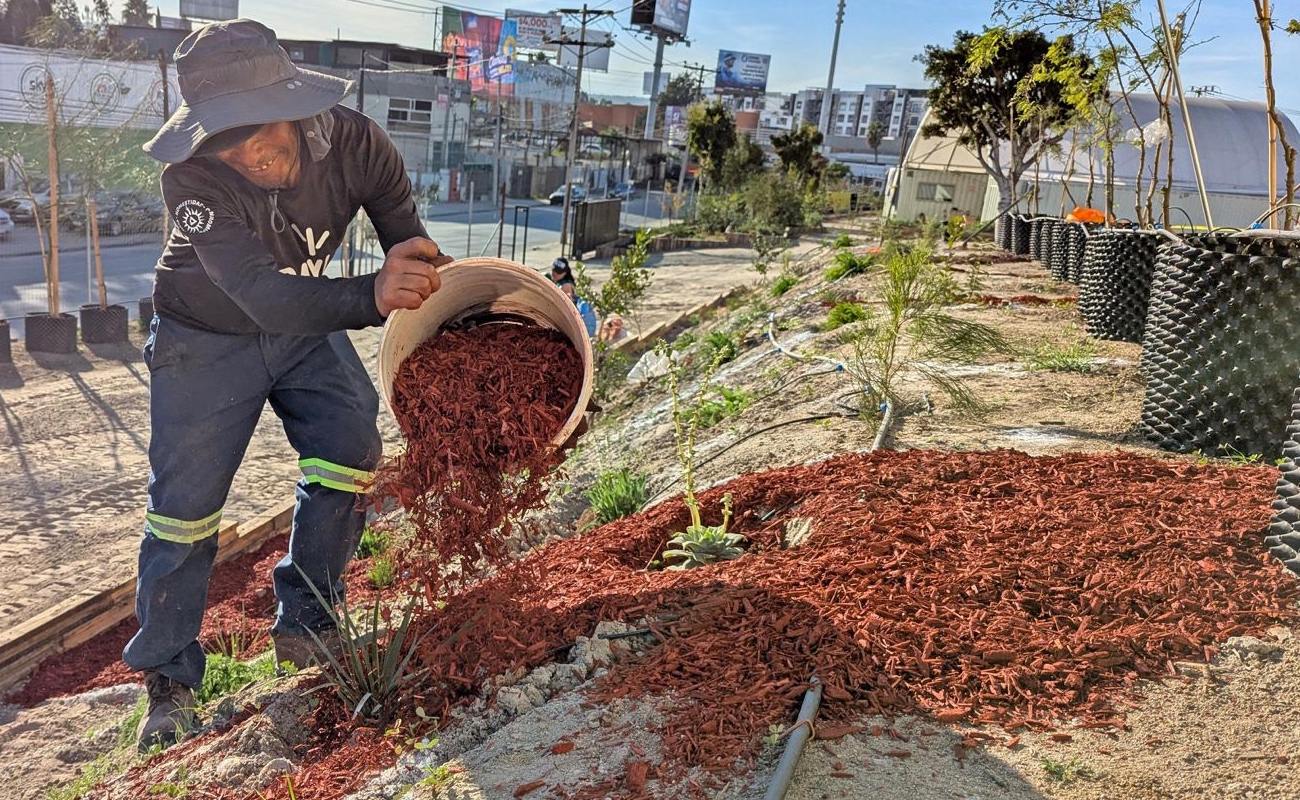 Optimiza Mucho Mulch la gestión del suelo urbano