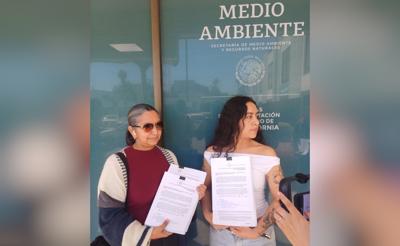 Se oponen mil 139 ciudadanos al Muelle 3 y parque Ensenada Bay Village