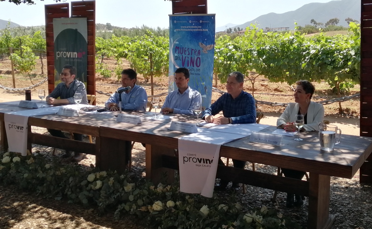 Baja California llega a este 2019 con un 70 por ciento de la producción nacional de vino, lo que lo coloca como el número uno en el país y más de la mitad de la superficie de plantación.