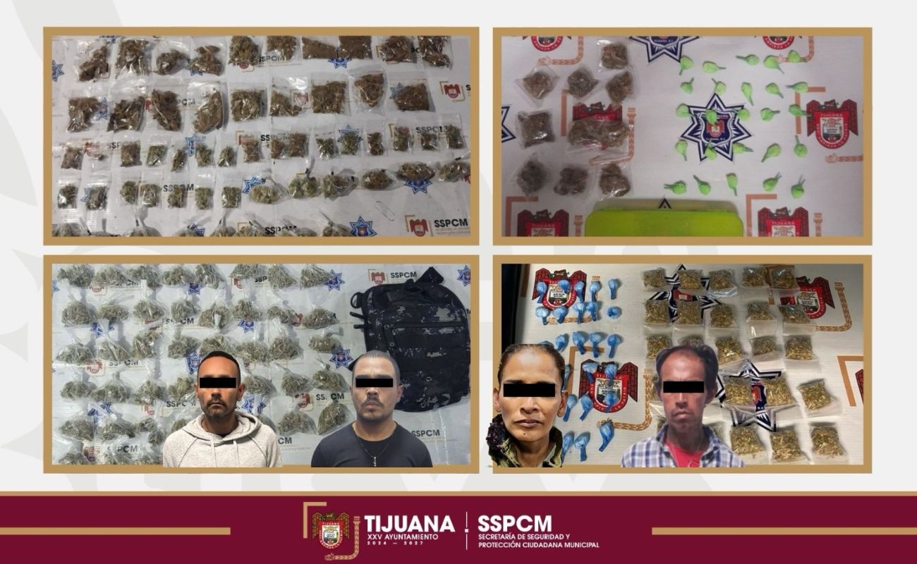 Los detenidos fueron puestos a disposición de la autoridad competente para iniciar las respectivas carpetas de investigación.