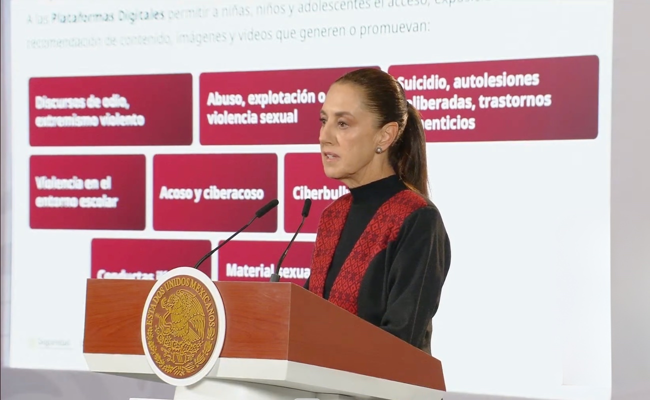 El objetivo es regular contenidos violentos en las plataformas digitales para la protección de menores.