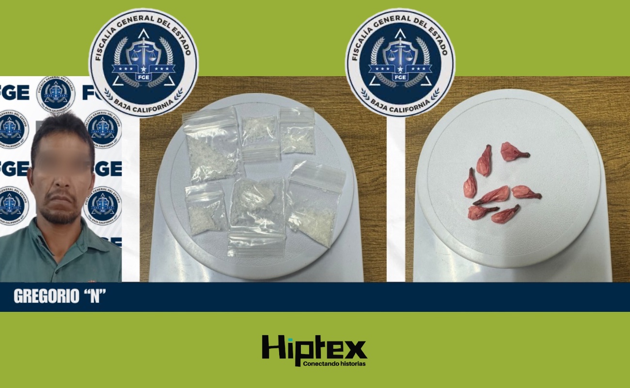 Realizan cateo contra narcomenudeo en San Quintín