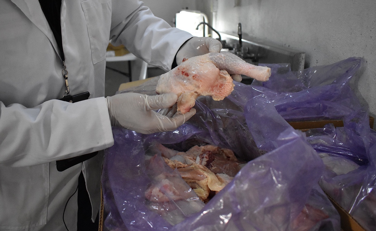 Suspendió AGRICULTURA importación de productos avícolas de Brasil por brote de Newcastle en el municipio de Nova Itaberaba