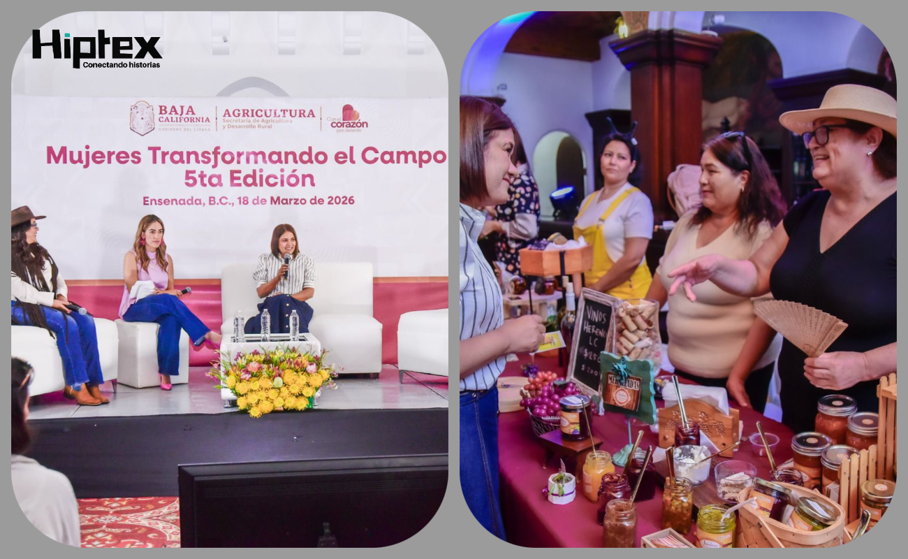Presenta SADER BC primer catálogo de mujeres agro proveedoras