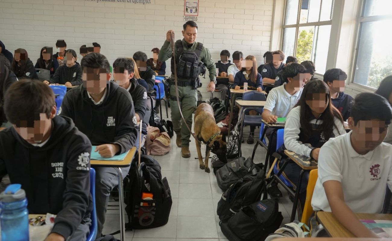 Con el apoyo de los agentes caninos “Rico”, “Tygo”, “Vali” y “Willie”, garantizan espacios libres de sustancias ilícitas.