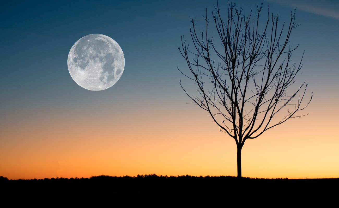 La próxima súper Luna será el próximo 21 de marzo y, de acuredo con la agencia espacial estadunidense, para ese día el satélite natural de la Tierra estará a 360 mil 772 kilómetros.