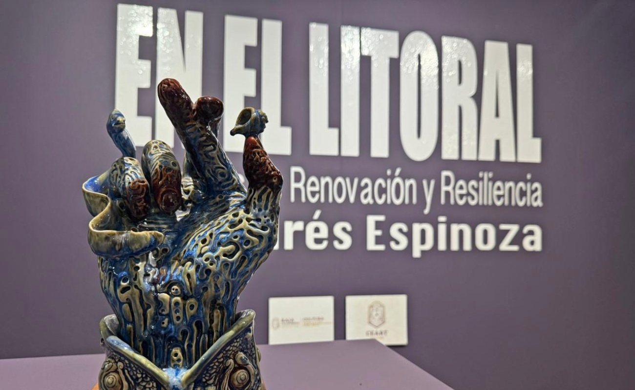 Las muestras, con entrada libre, incluyen “Fenómeno motorizados” de Daniel Aguilar Meneses, “En el litoral” de Andrés Espinoza y “El vuelo de mi hermano”.