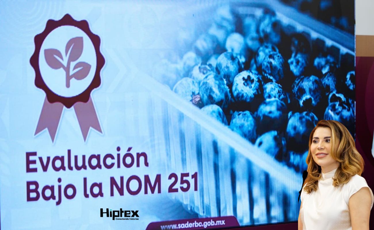 Los apoyos, disponibles del 26 de junio al 17 de julio, incluyen capacitación y acompañamiento técnico.