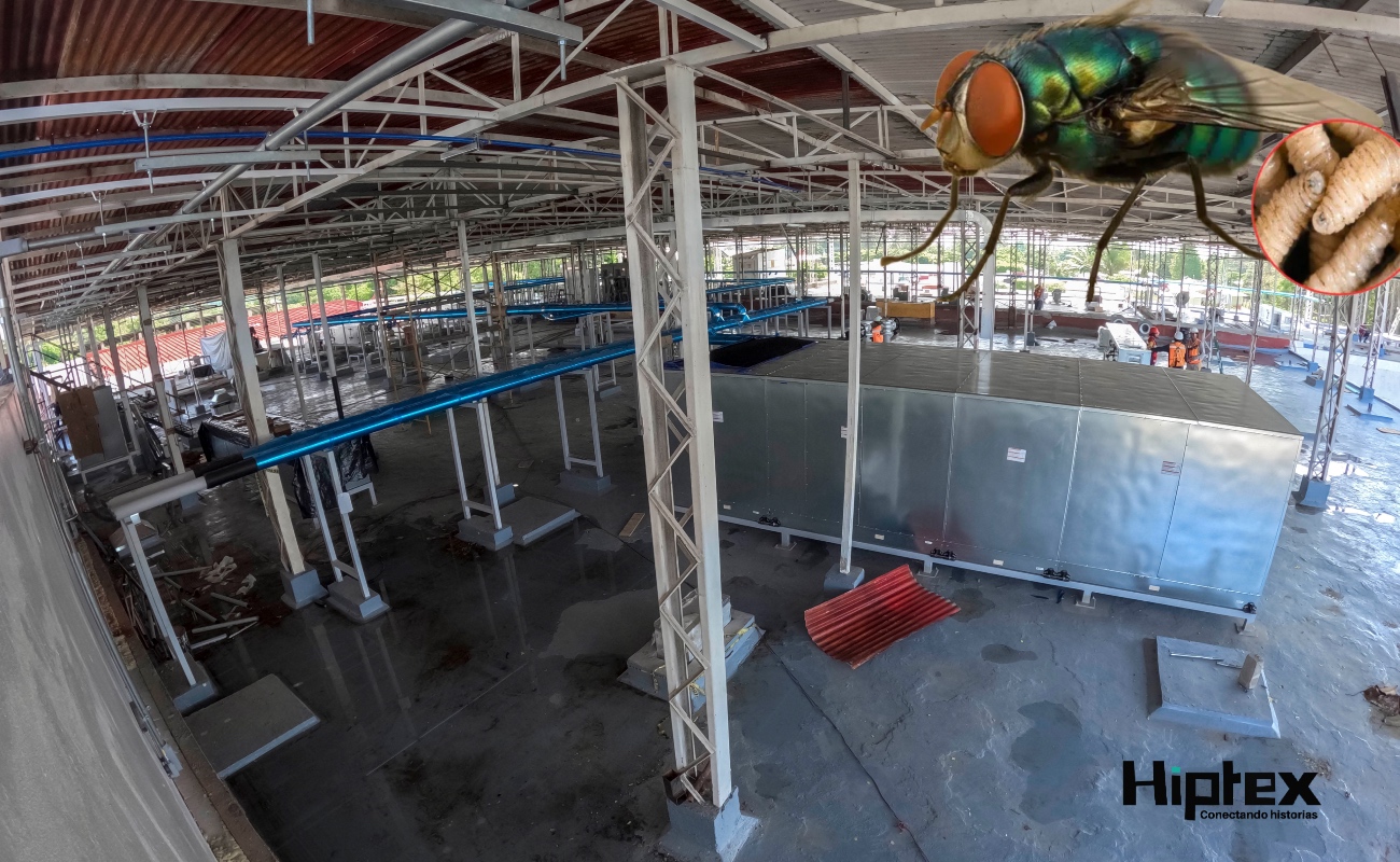 Los avances son fruto del esfuerzo conjunto y la coordinación entre AGRICULTURA, Senasica, USDA y APHIS.