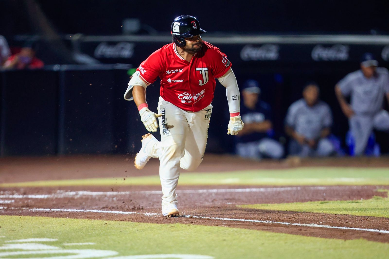 Pierden Toros por blanqueada; Final de Zona se empareja