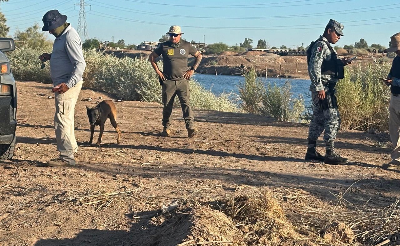 Mantiene Fiscalía BC acciones de búsqueda en campo en Mexicali