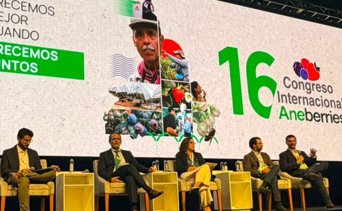 El Congreso Aneberries 2026 reúne a más de 3 mil participantes y cerca de 250 empresas del sector.