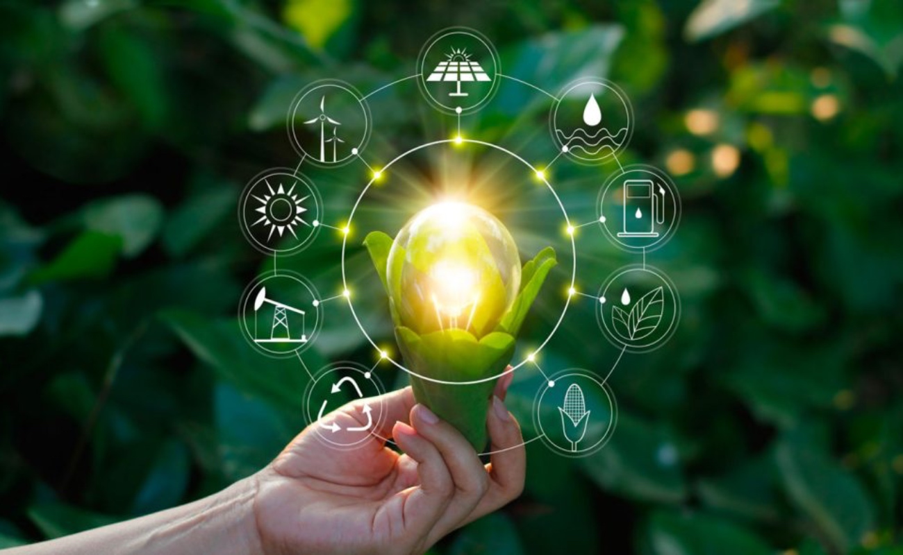 Conservación de la biodiversidad es puntal de la economía: González Azuara.