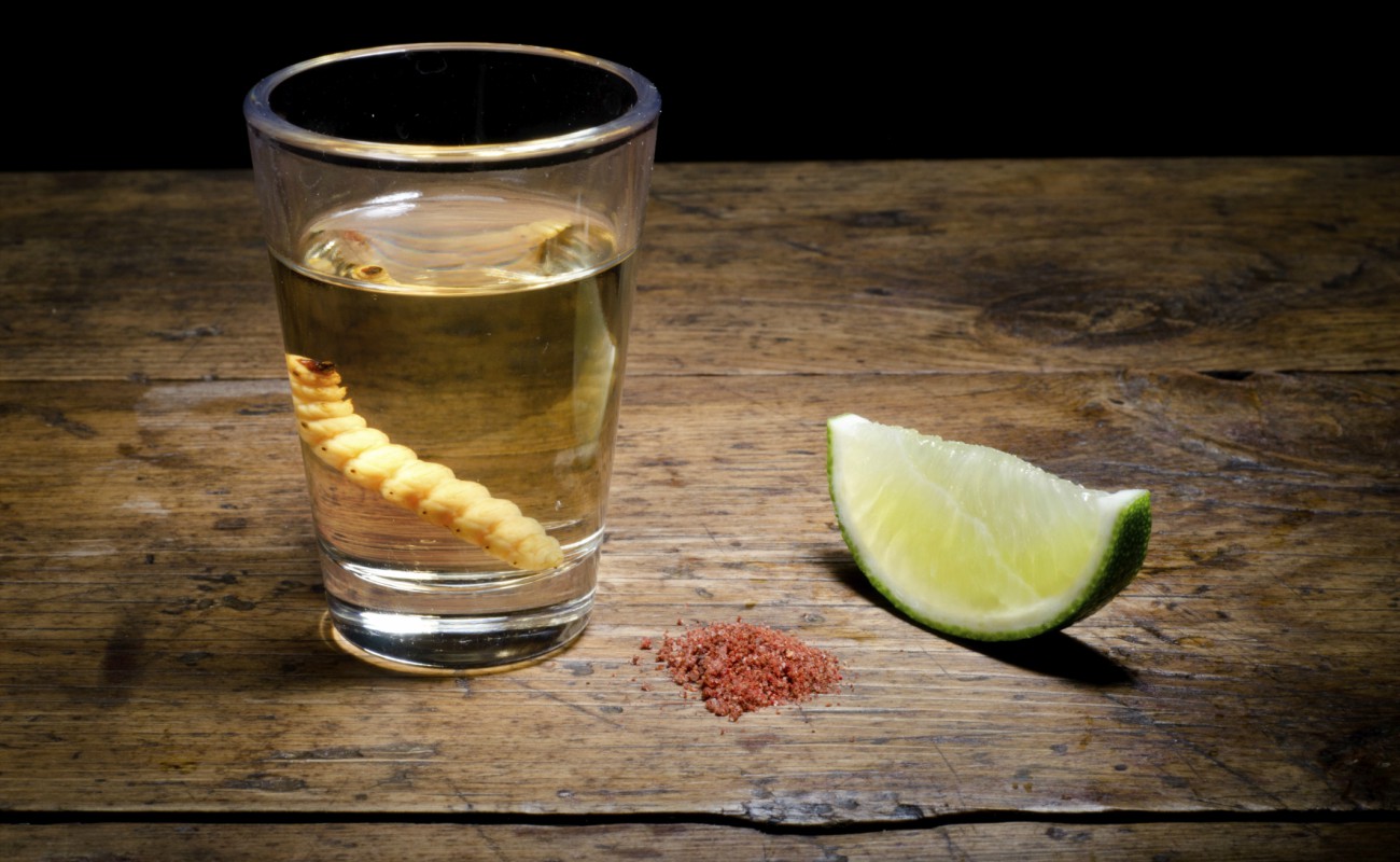 Los secretos del mezcal