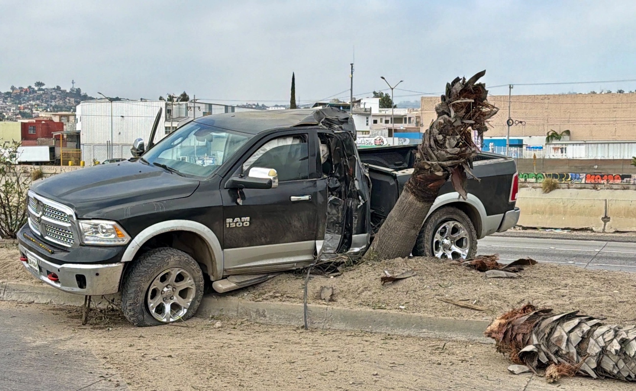 Conductor pierde el control y derriba palmera en la Vía Rápida Poniente