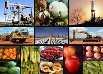 El INEGI detalló que el incremento anual del IGAE se explicó gracias al avance de la agricultura, la construcción y el comercio.