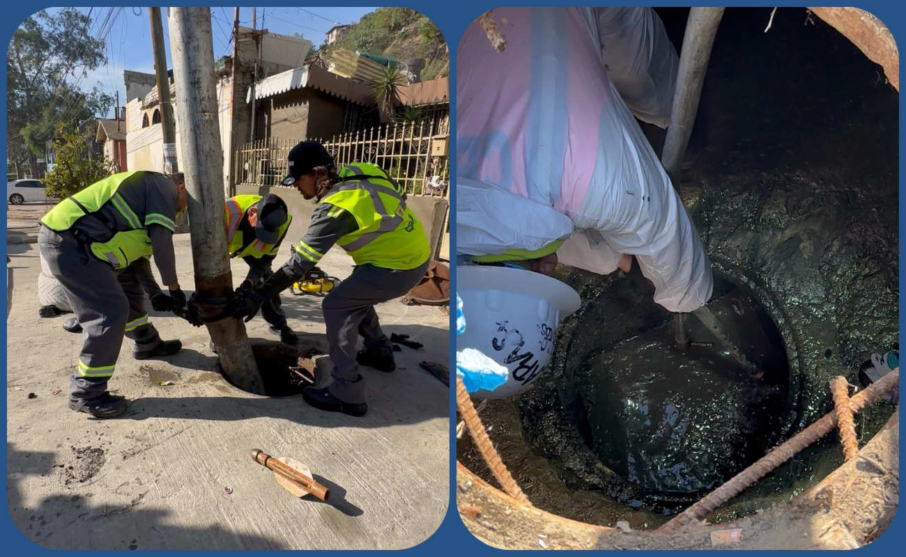 Se busca prevenir obstrucciones en la red.