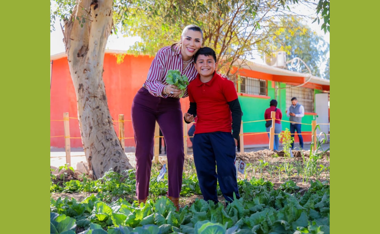 Impulsan salud alimentaria con huertos escolares y comunitarios