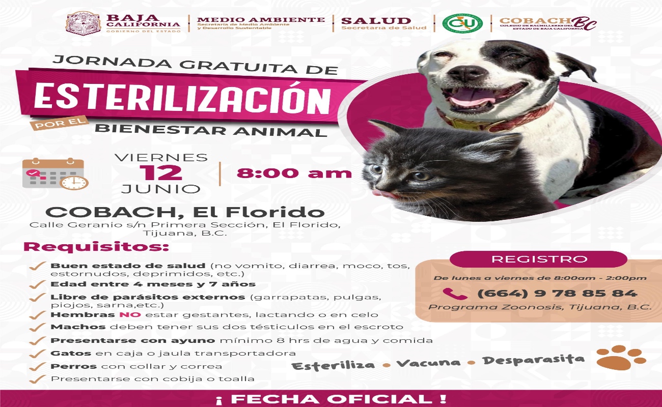 Será el próximo 12 de junio la esterilización gratuita para perros y gatos en El Florido.